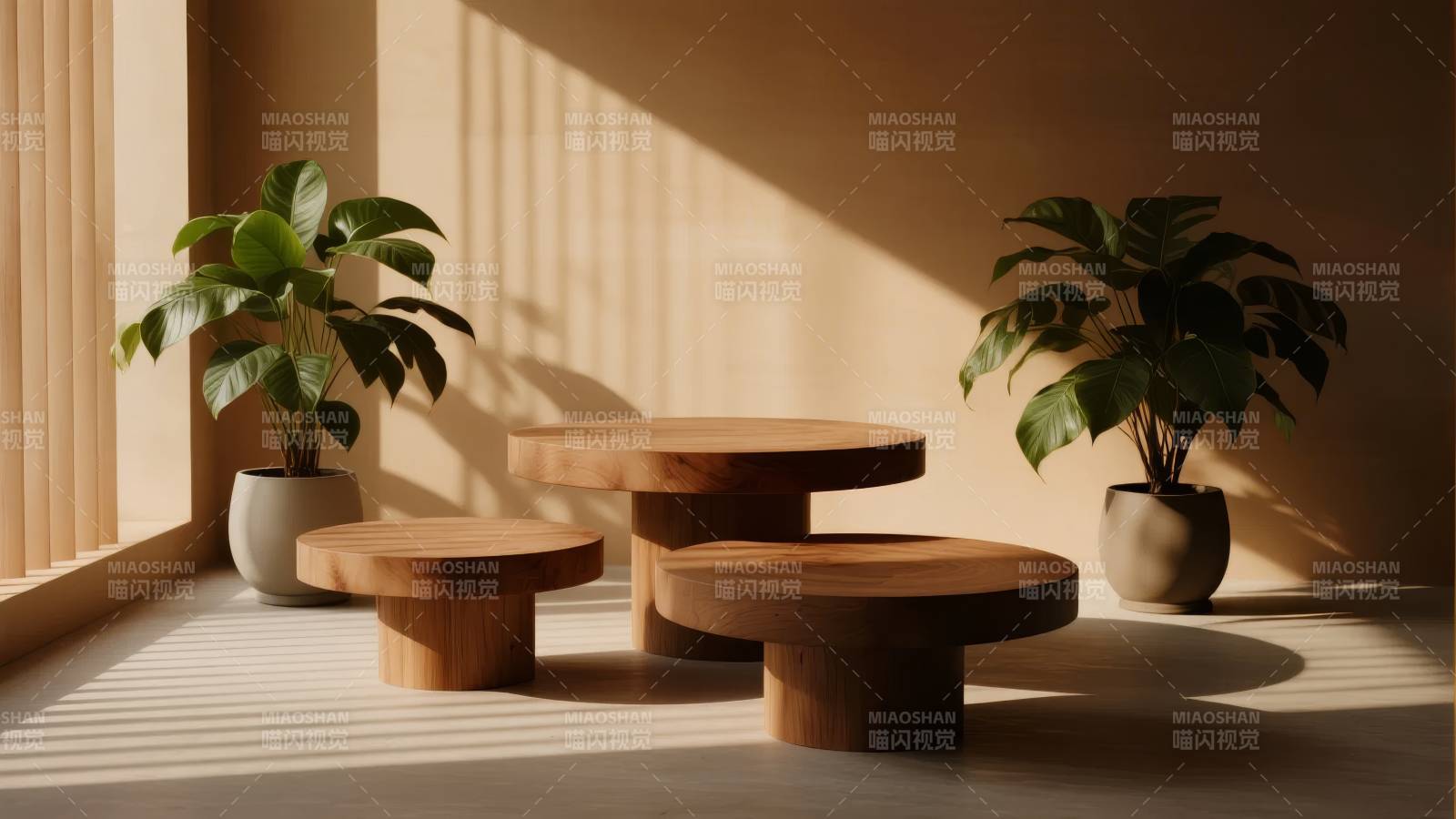 阳光下的绿植与木桌图片