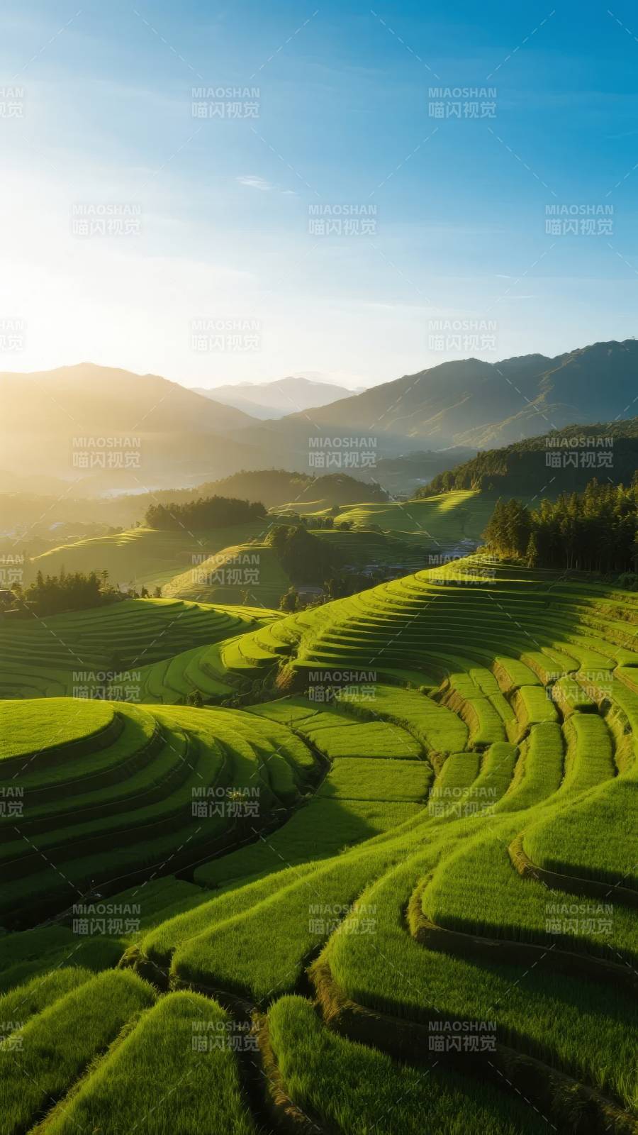 梯田晨曦图片