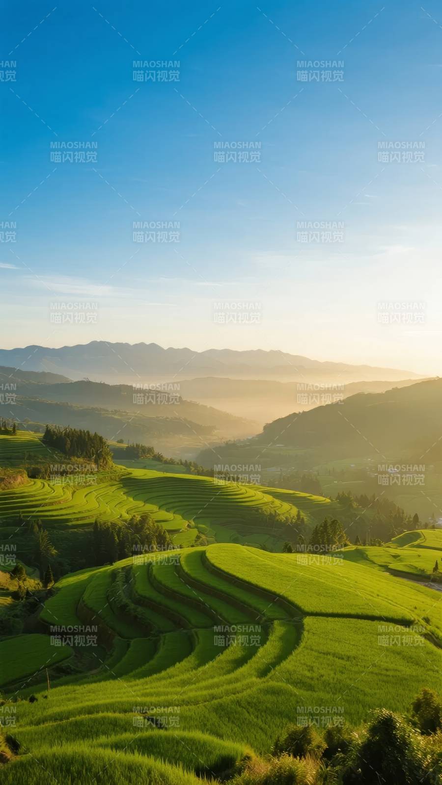 梯田晨曦图片