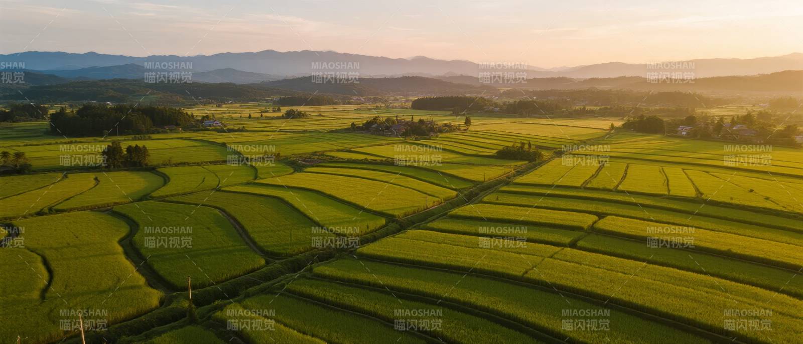 金秋稻田风光图片