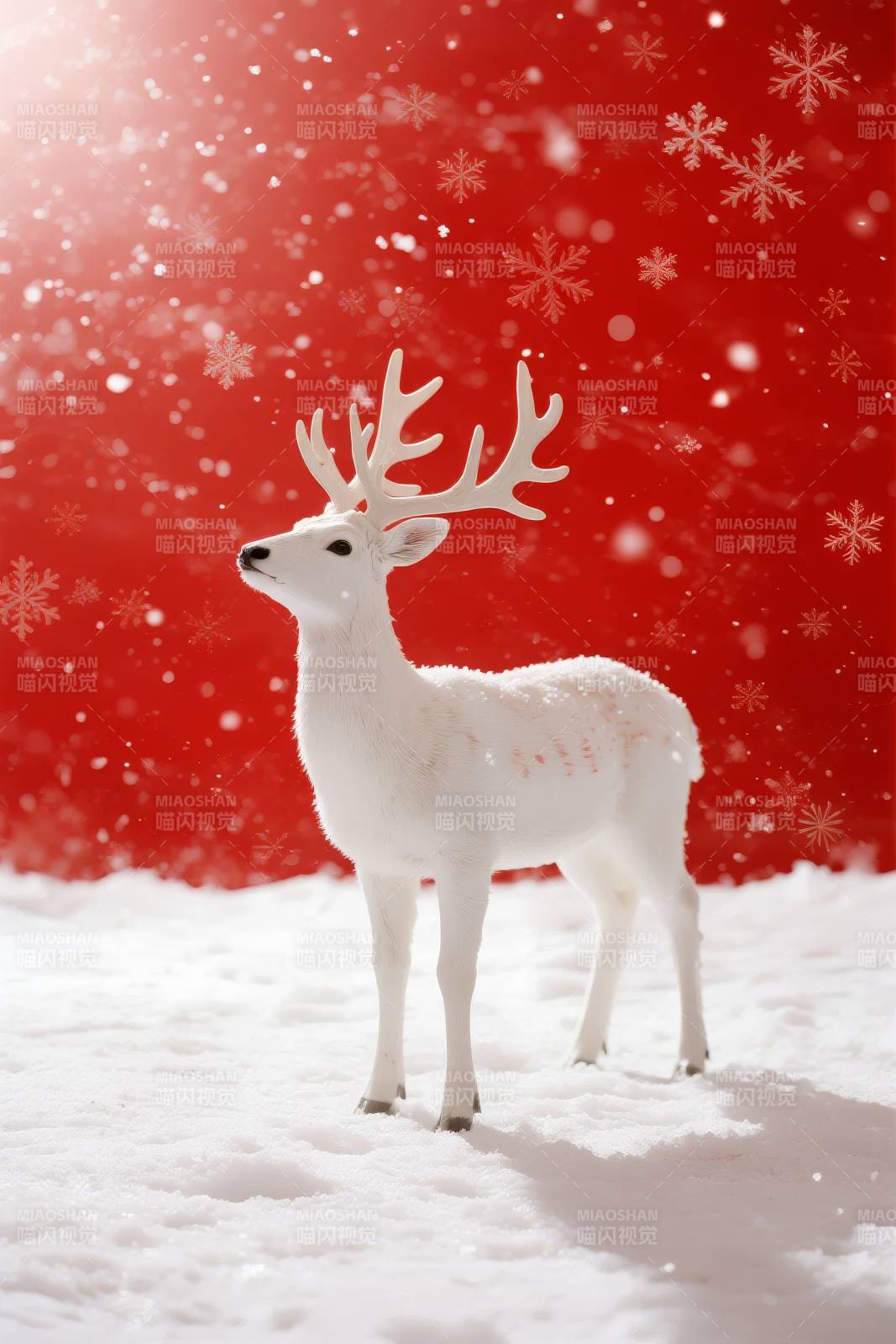 雪中白鹿图片