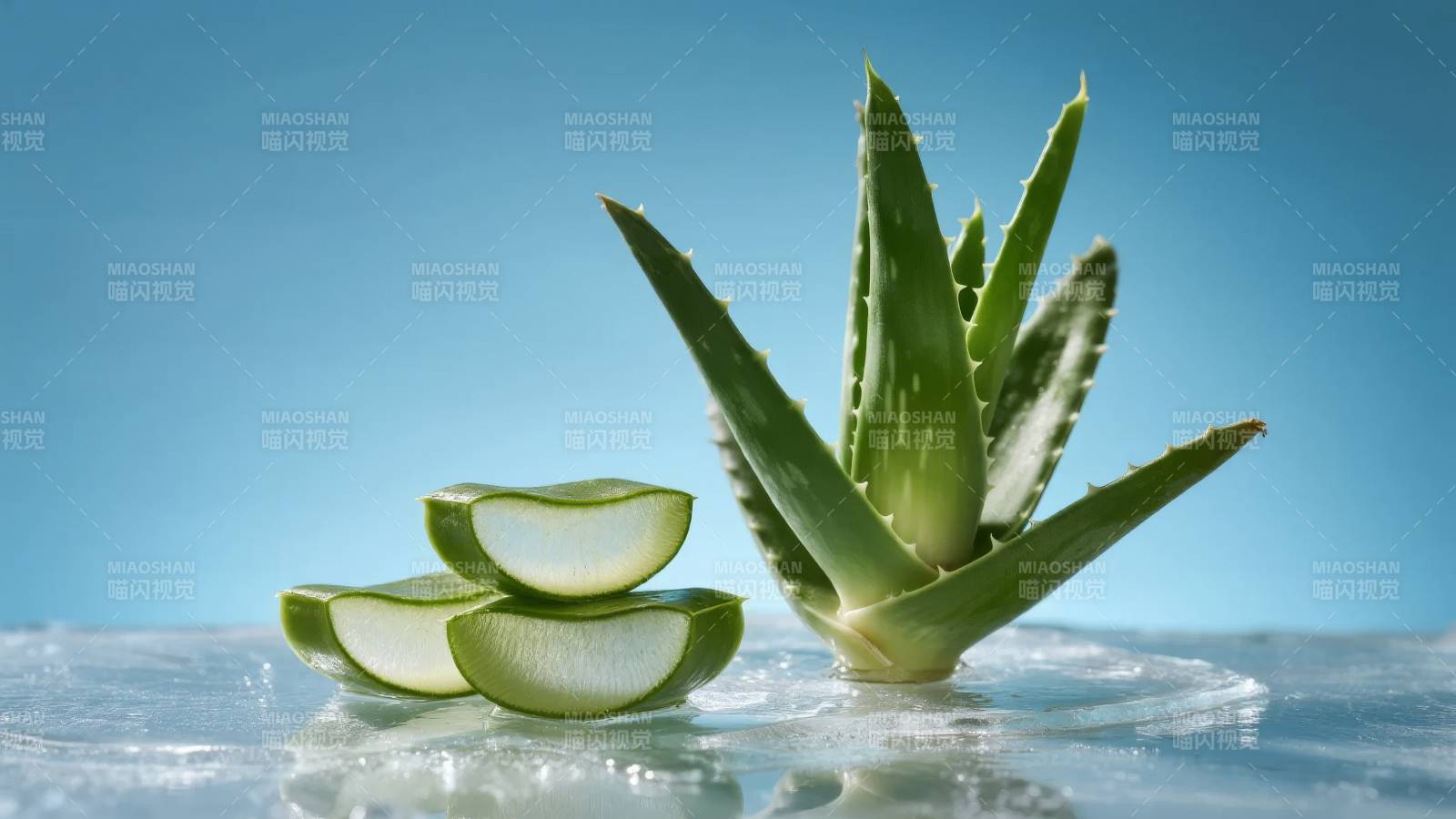 芦荟切片清新水景图片