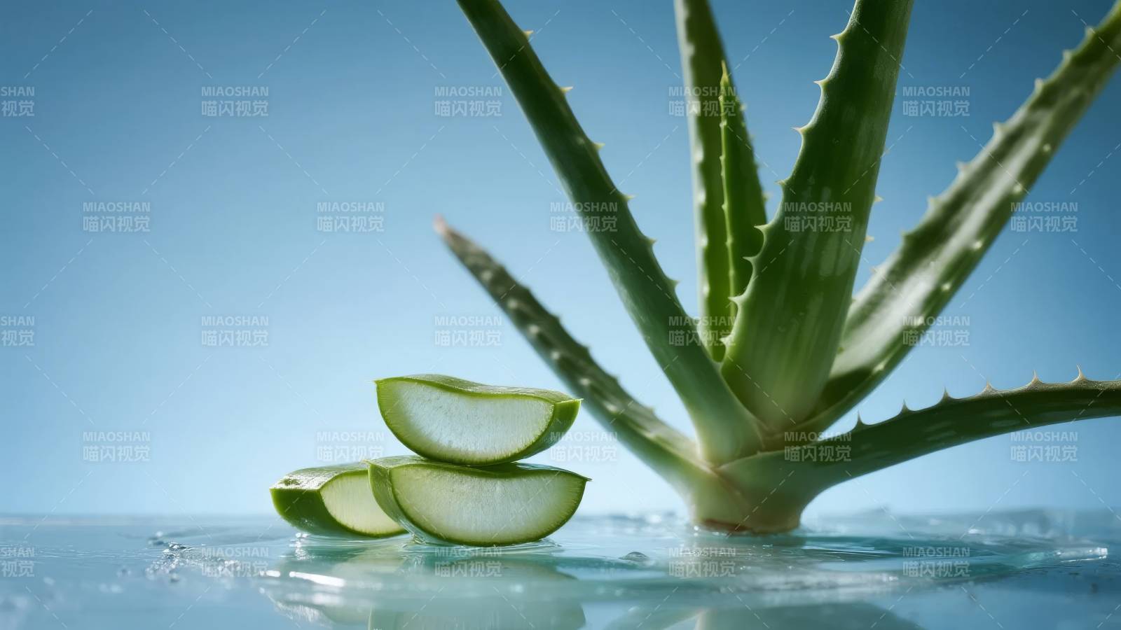 芦荟切片清凉水景图片