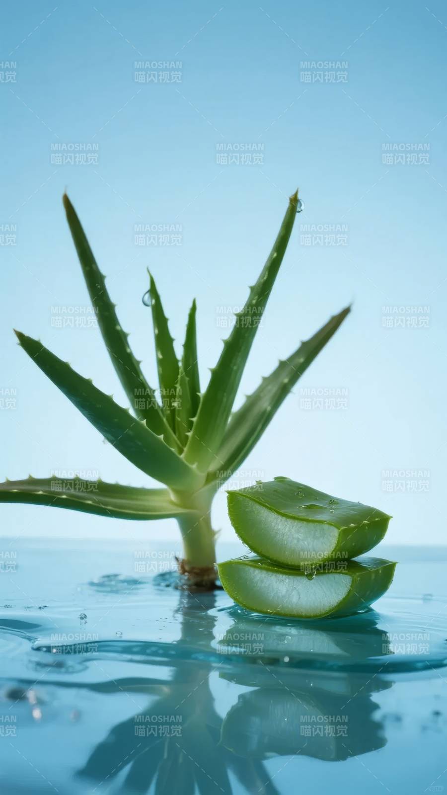 芦荟水润清新图片