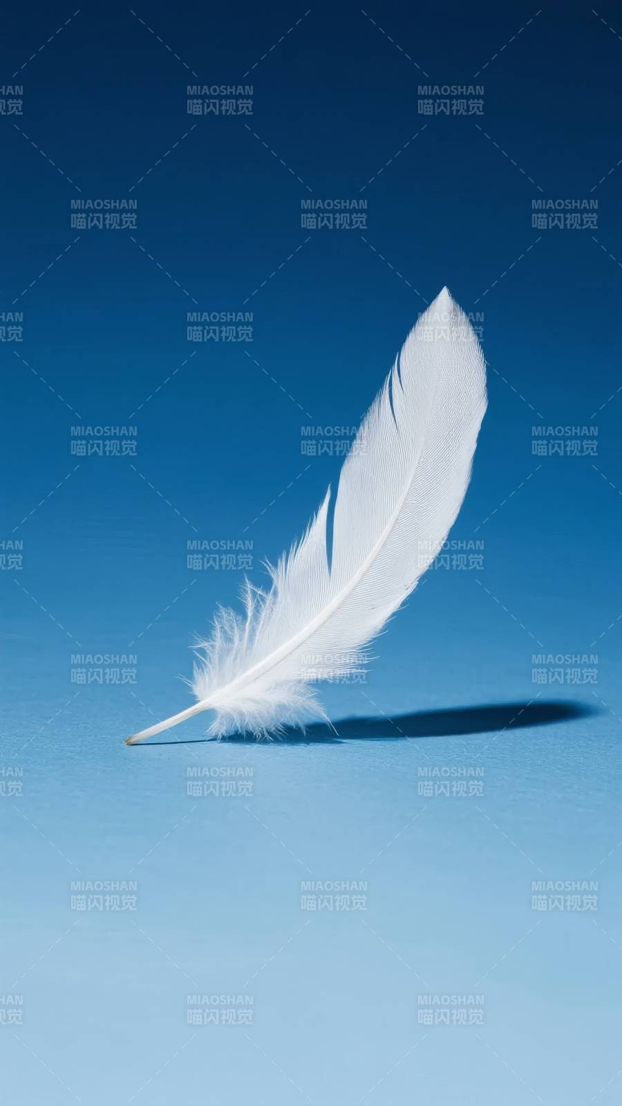 白羽轻舞蓝空图片