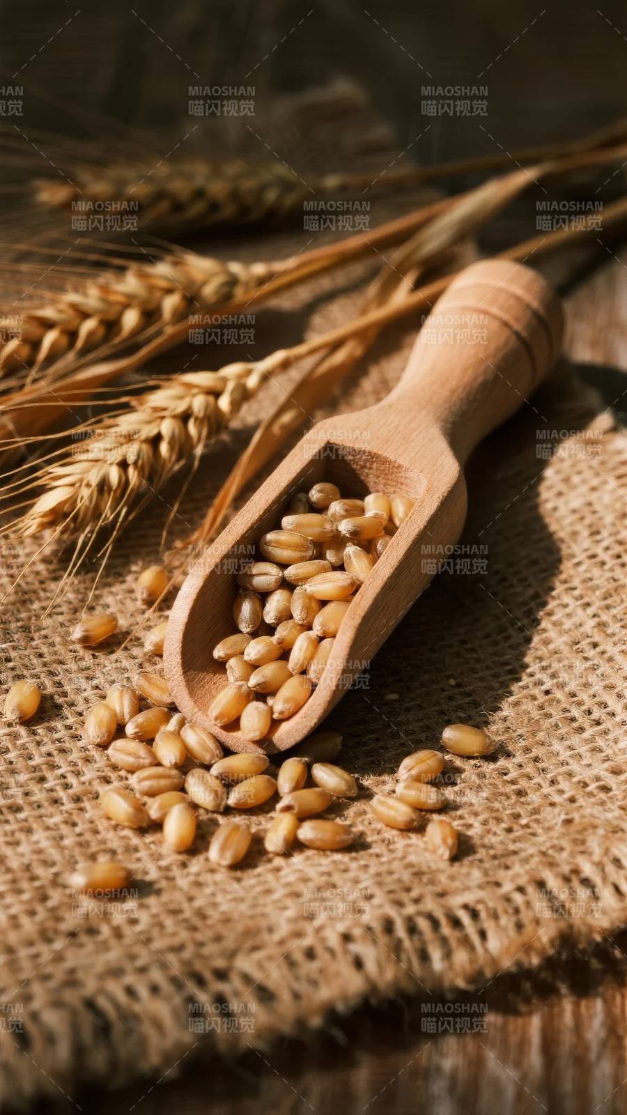麦穗与木勺中的麦粒图片