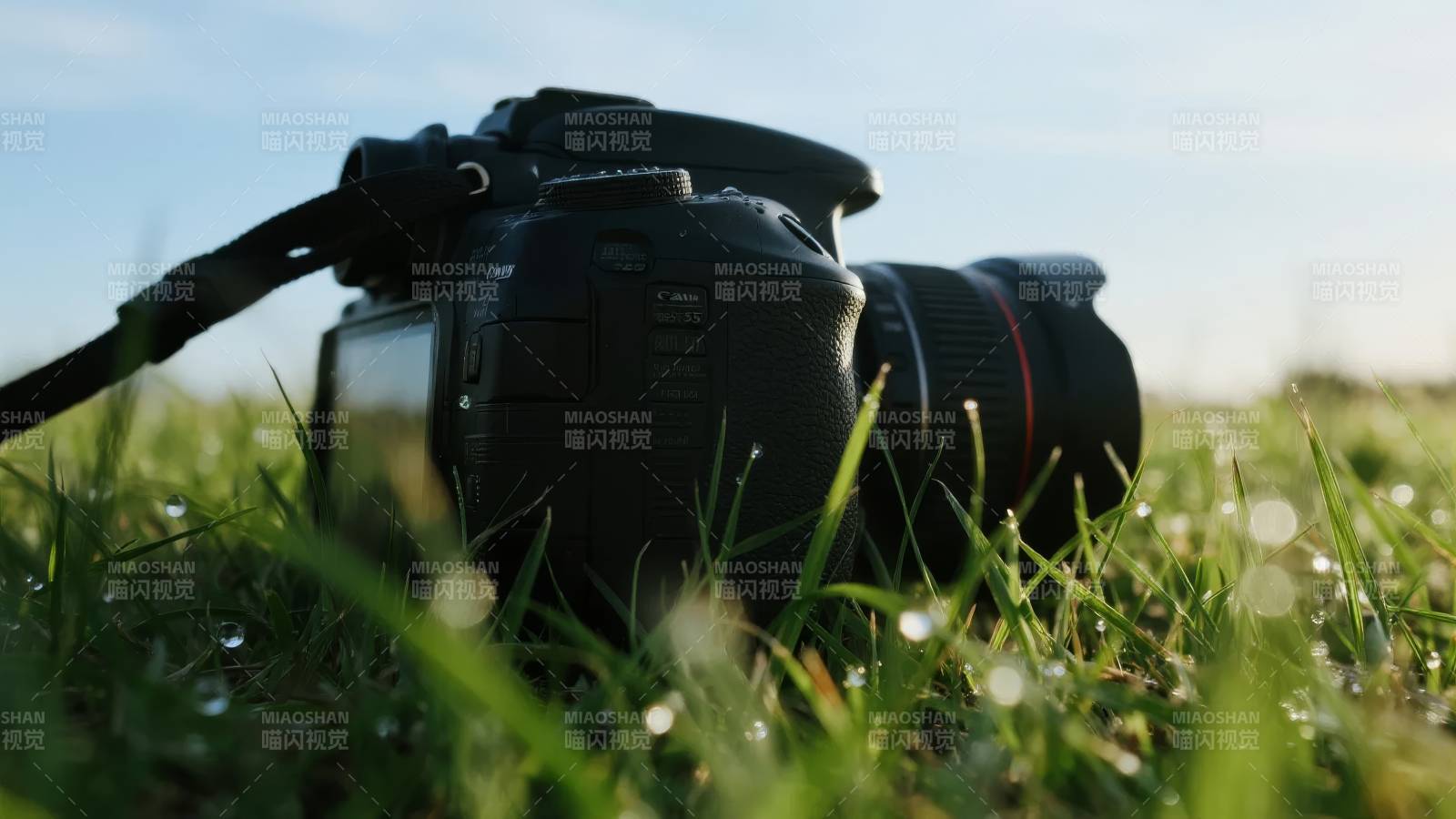 草地上相机静置图片