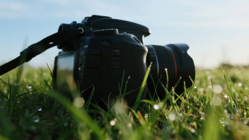 草地上相机静置图片