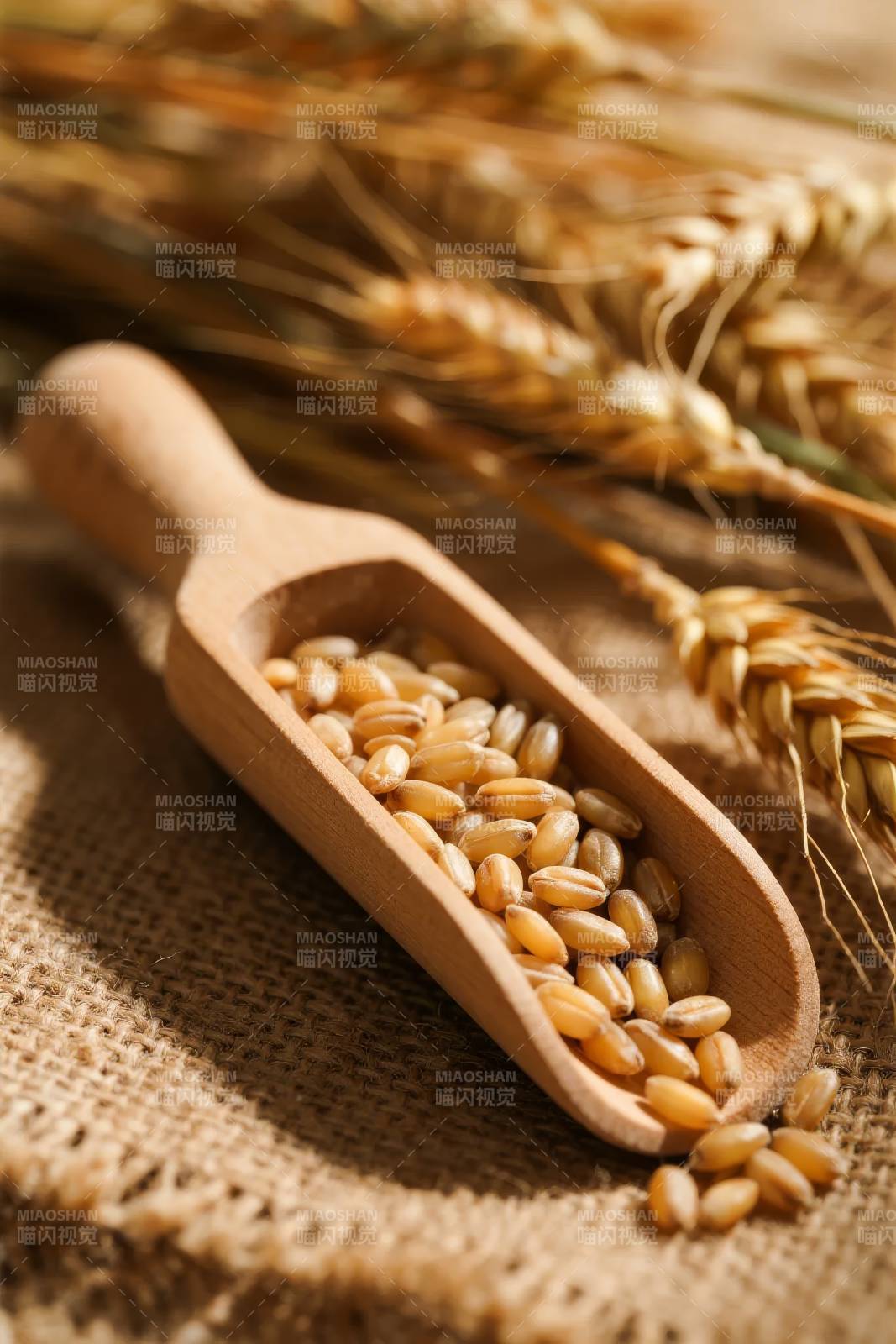麦穗与木勺中的麦粒图片