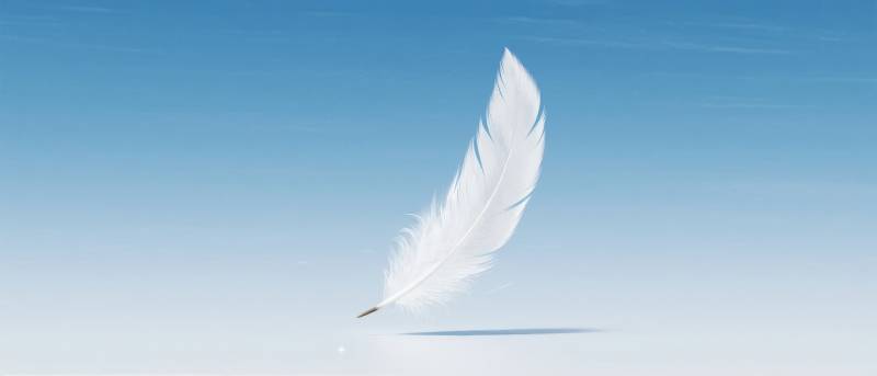 飘羽蓝天图片