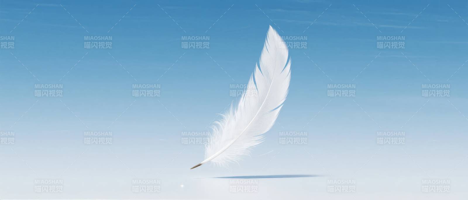 飘羽蓝天图片