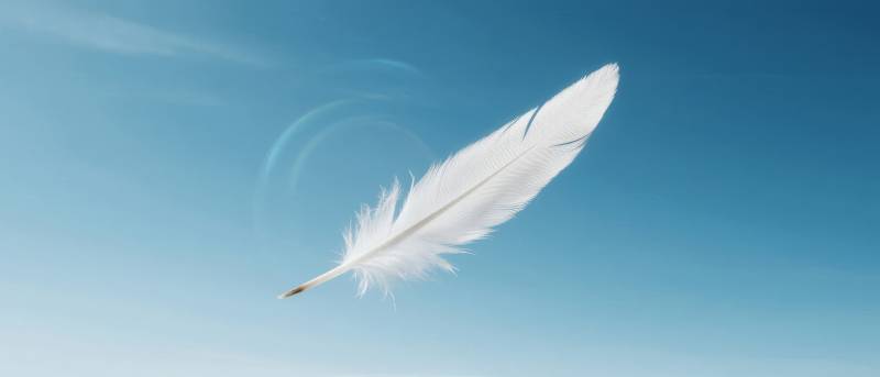 羽毛飘飞蓝天图片