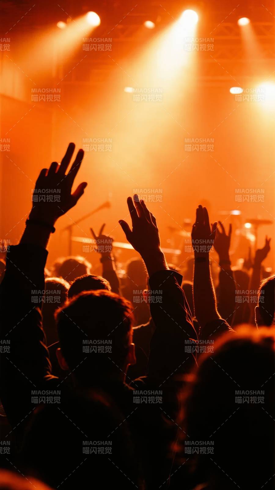 演唱会现场狂欢图片