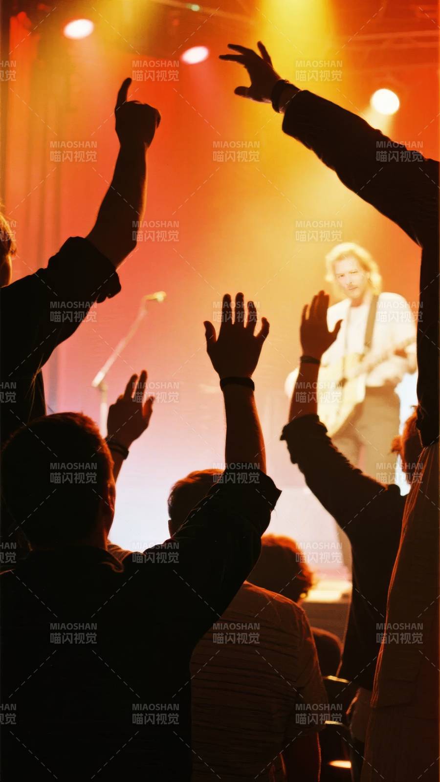 演唱会现场狂欢图片