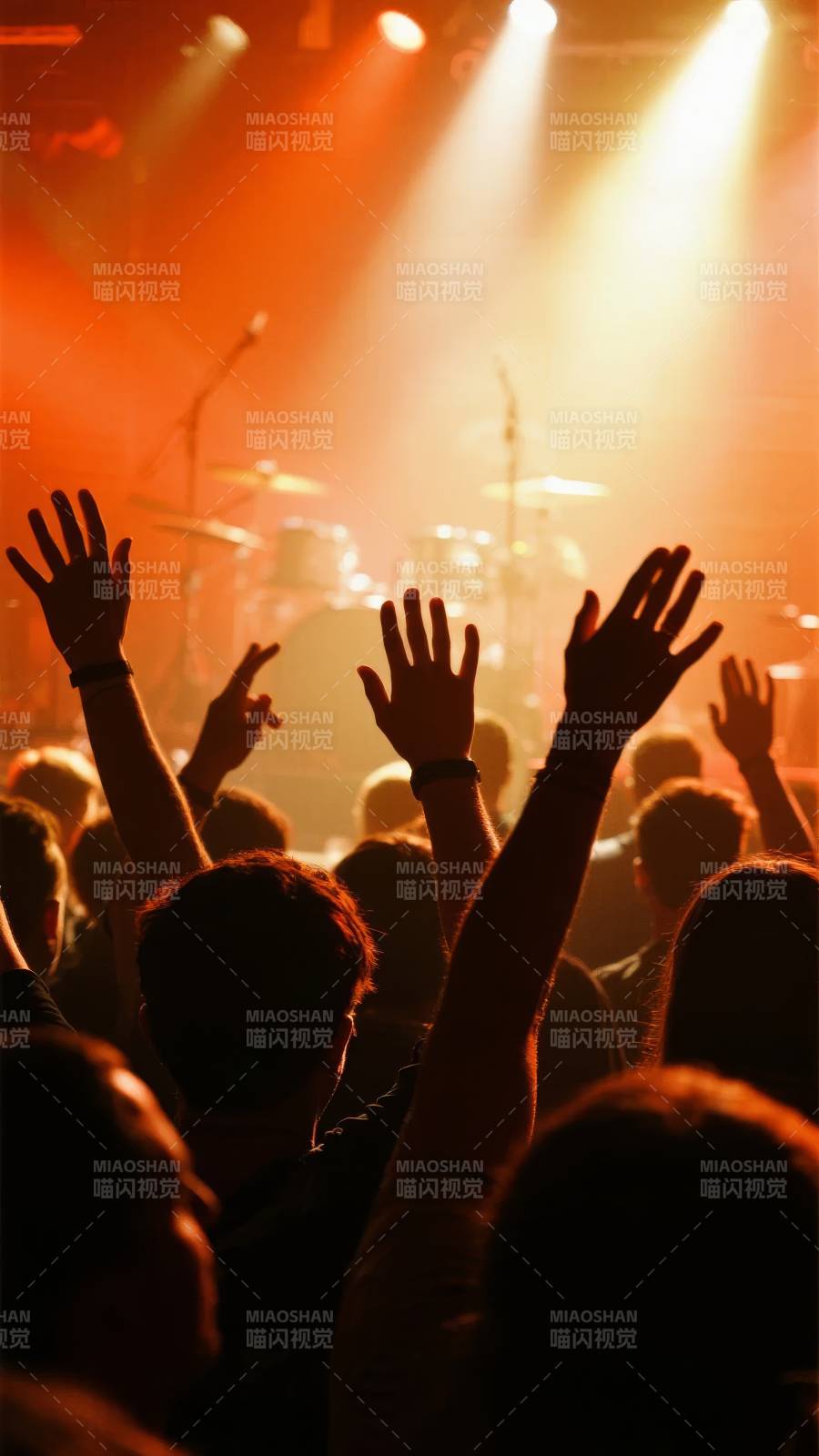 演唱会现场狂欢图片