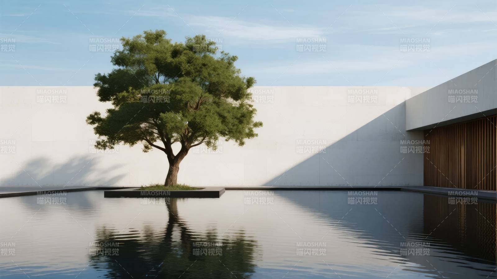 静水孤树映白墙图片