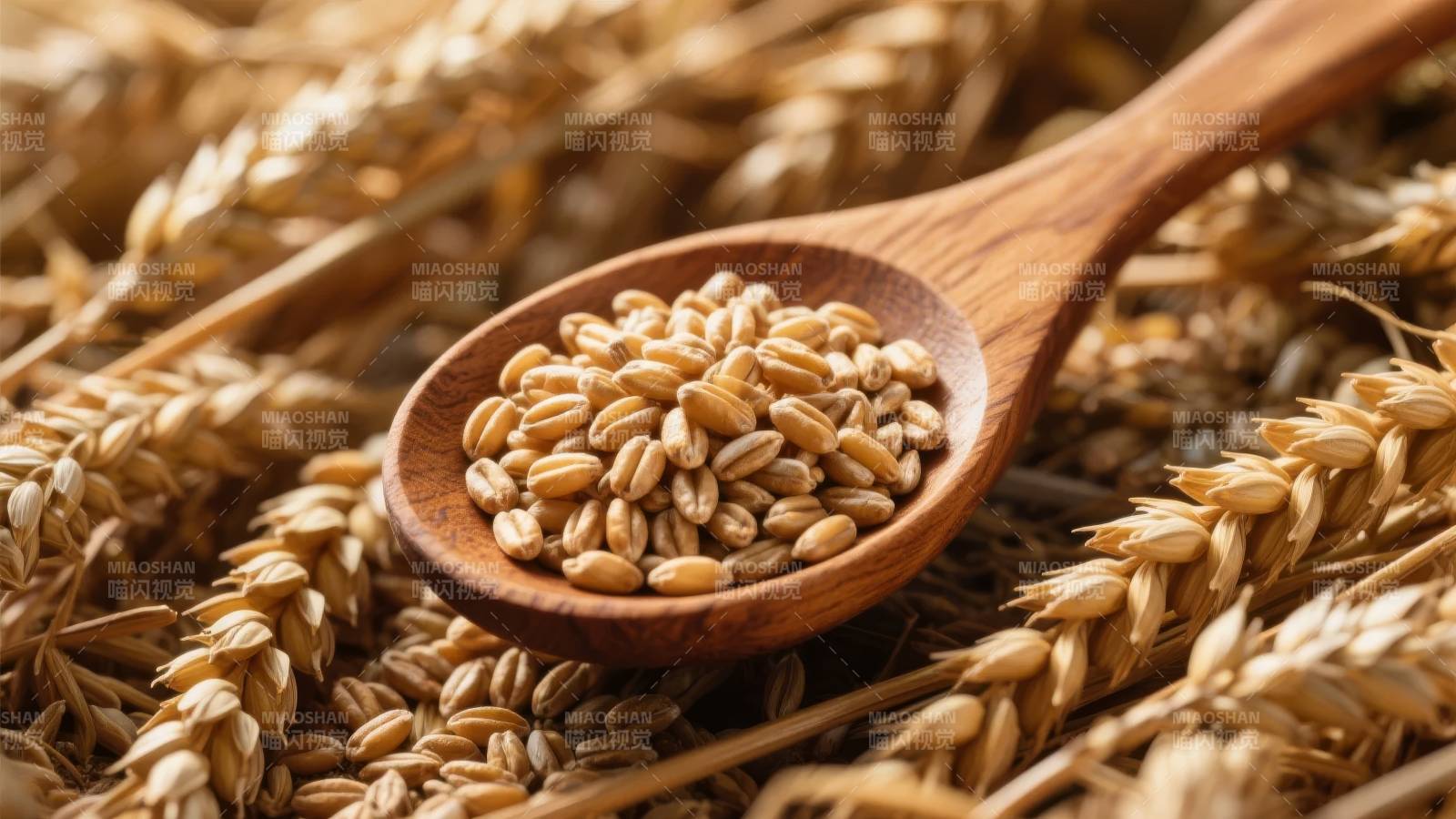 麦穗与木勺中的谷粒图片