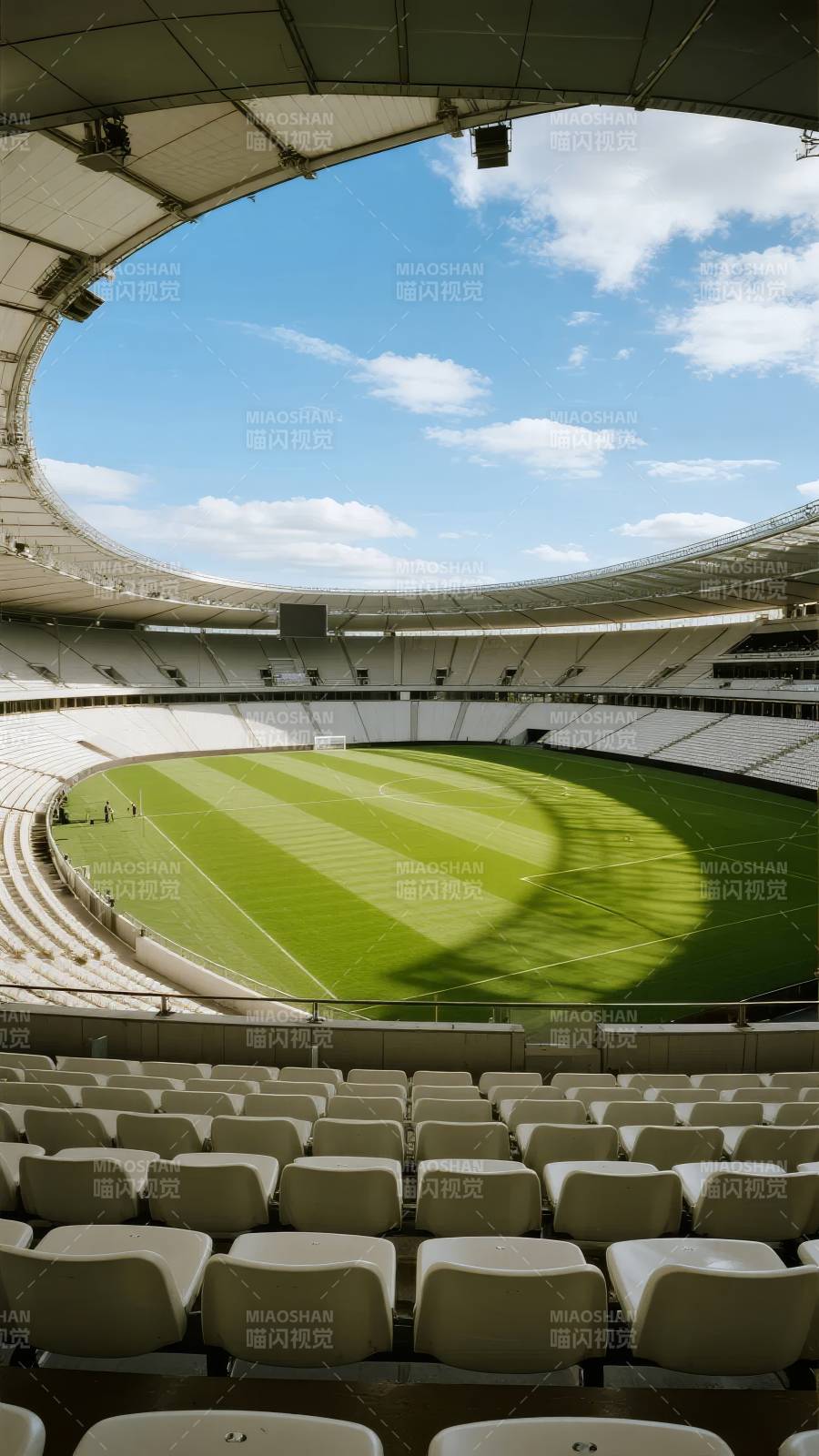 空旷体育场 绿茵如画图片