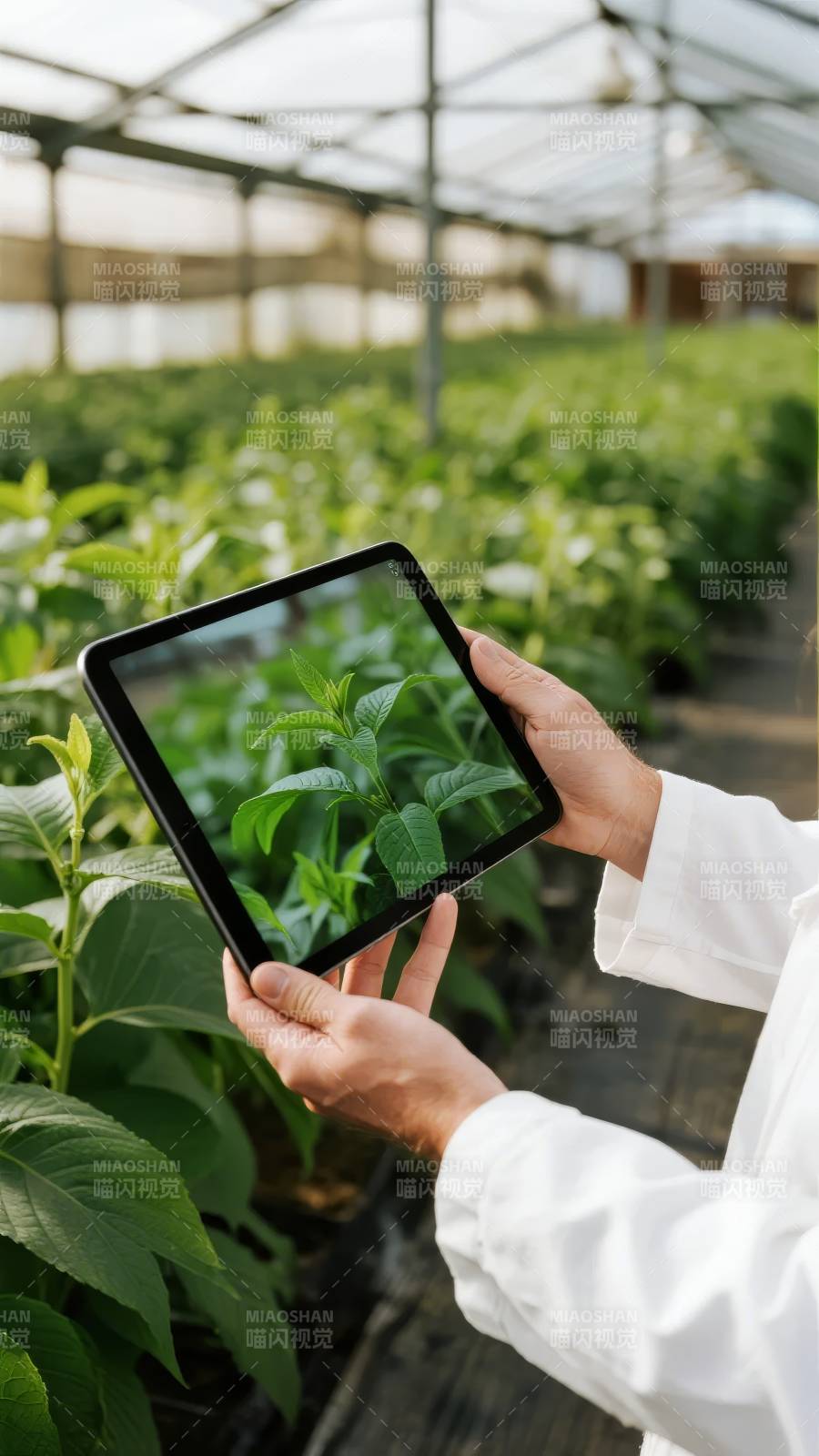 智能农业监测图片