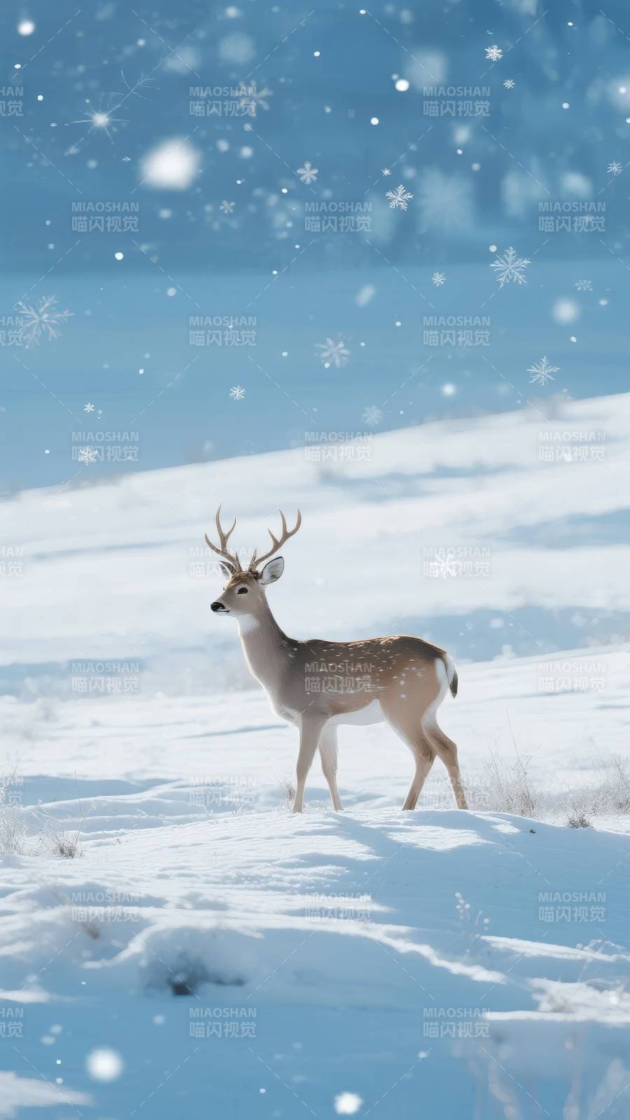 雪原鹿影图片