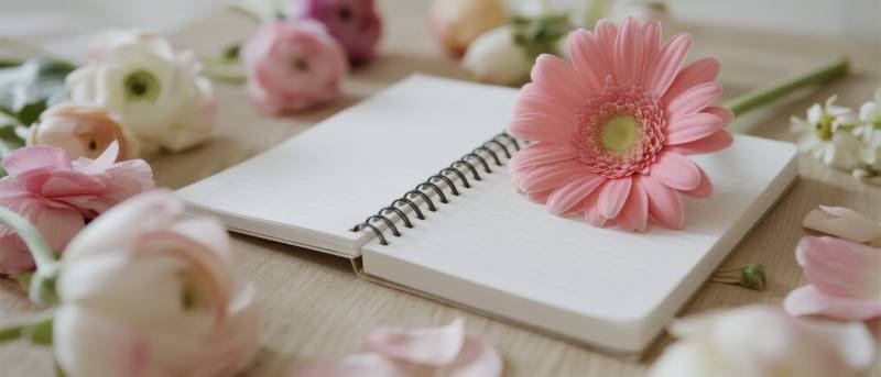 花间笔记图片