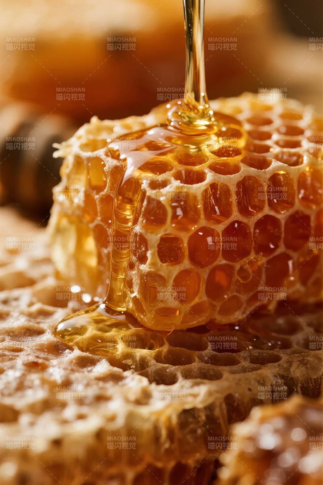 蜜滴蜂巢图片