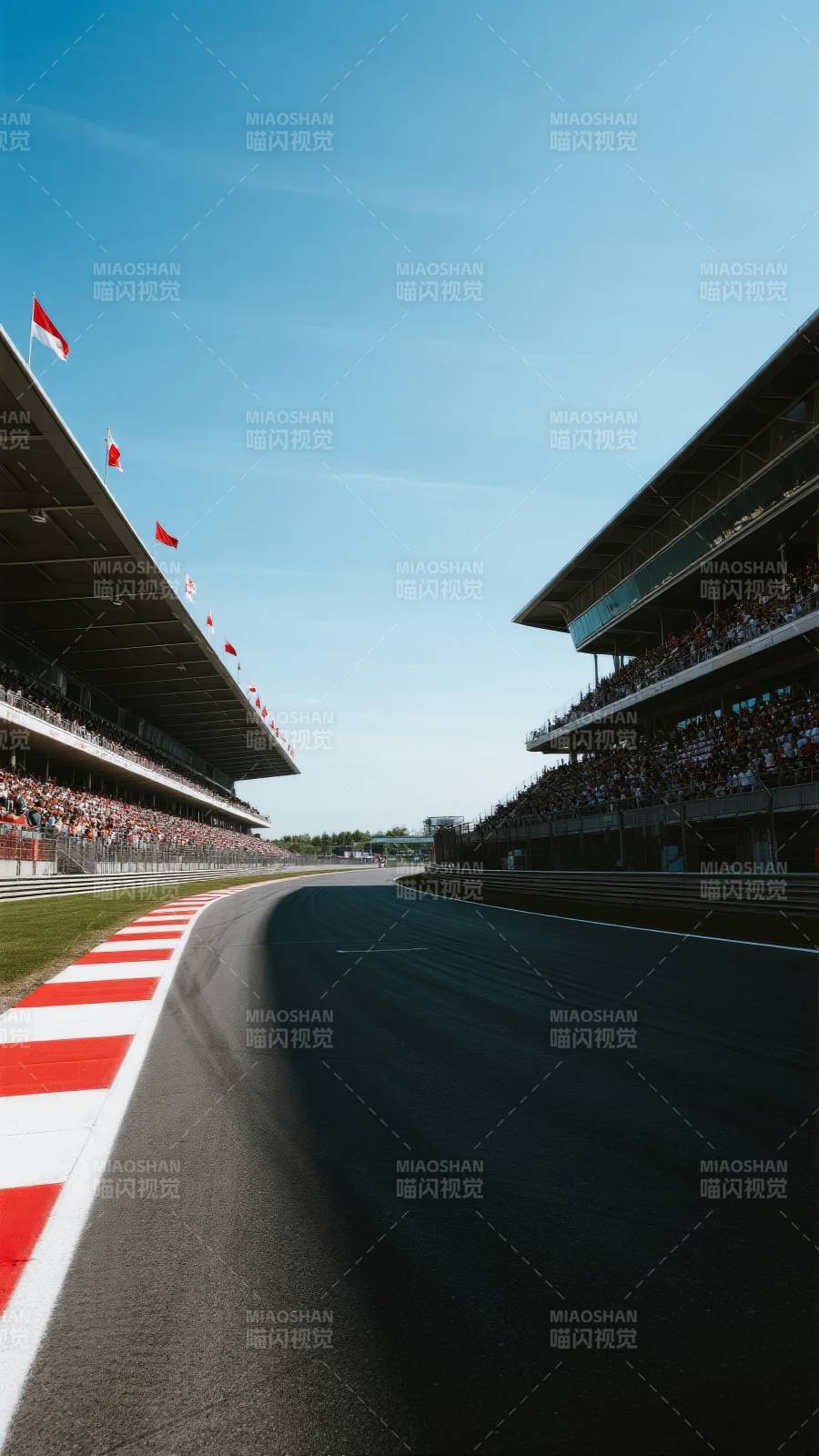 赛道上的速度与激情图片