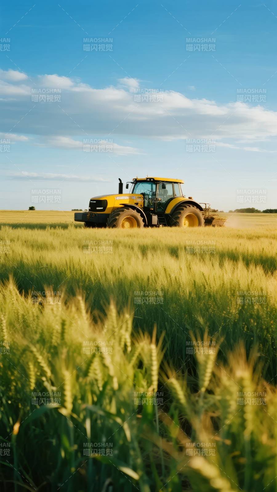 金田耕作图图片