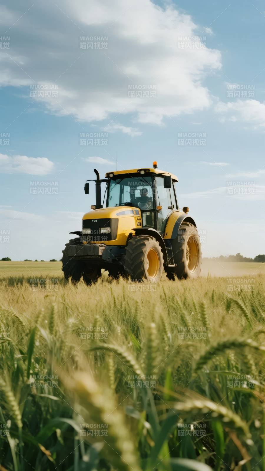 金田耕作图图片