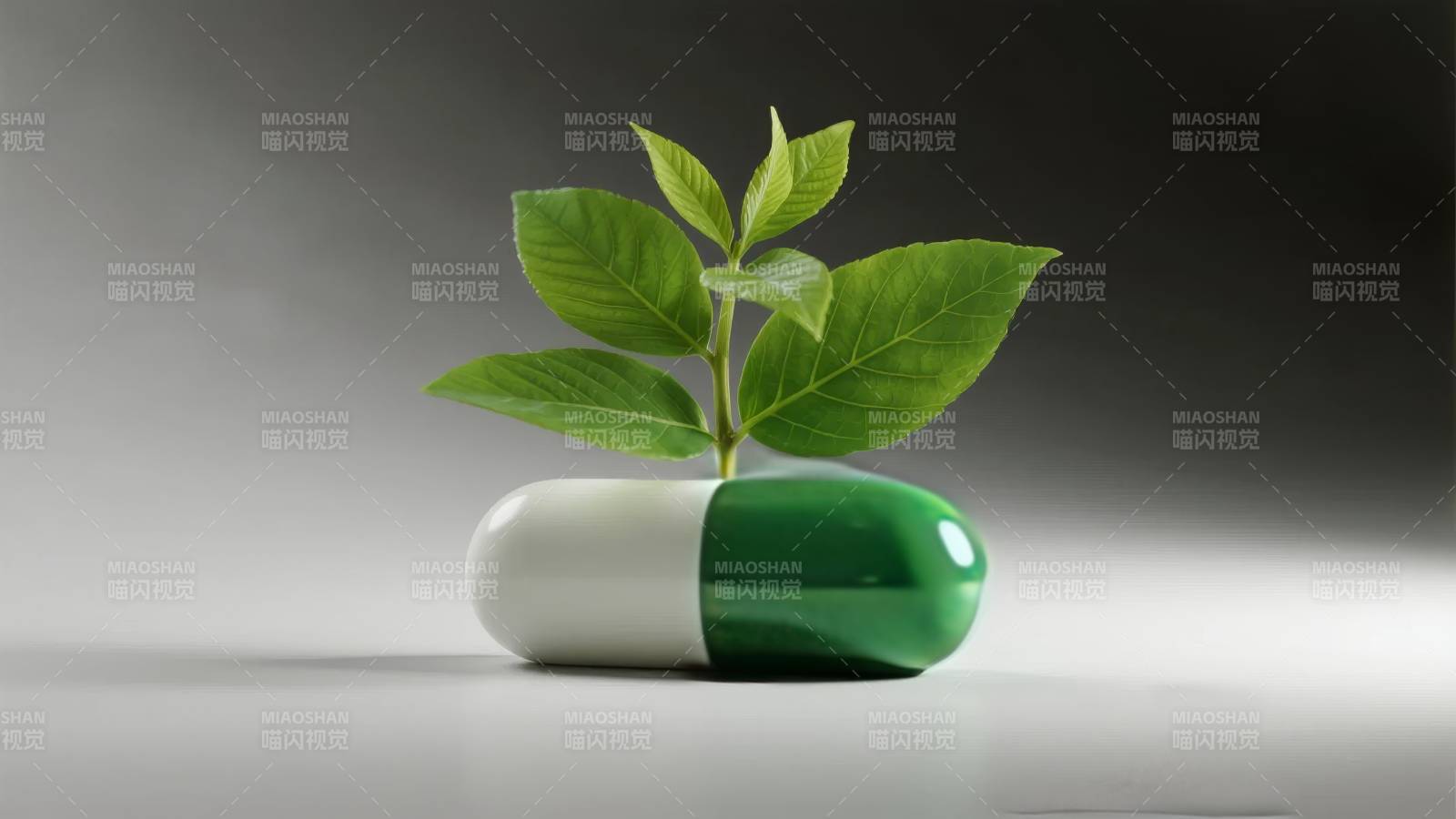 药丸生绿芽图片