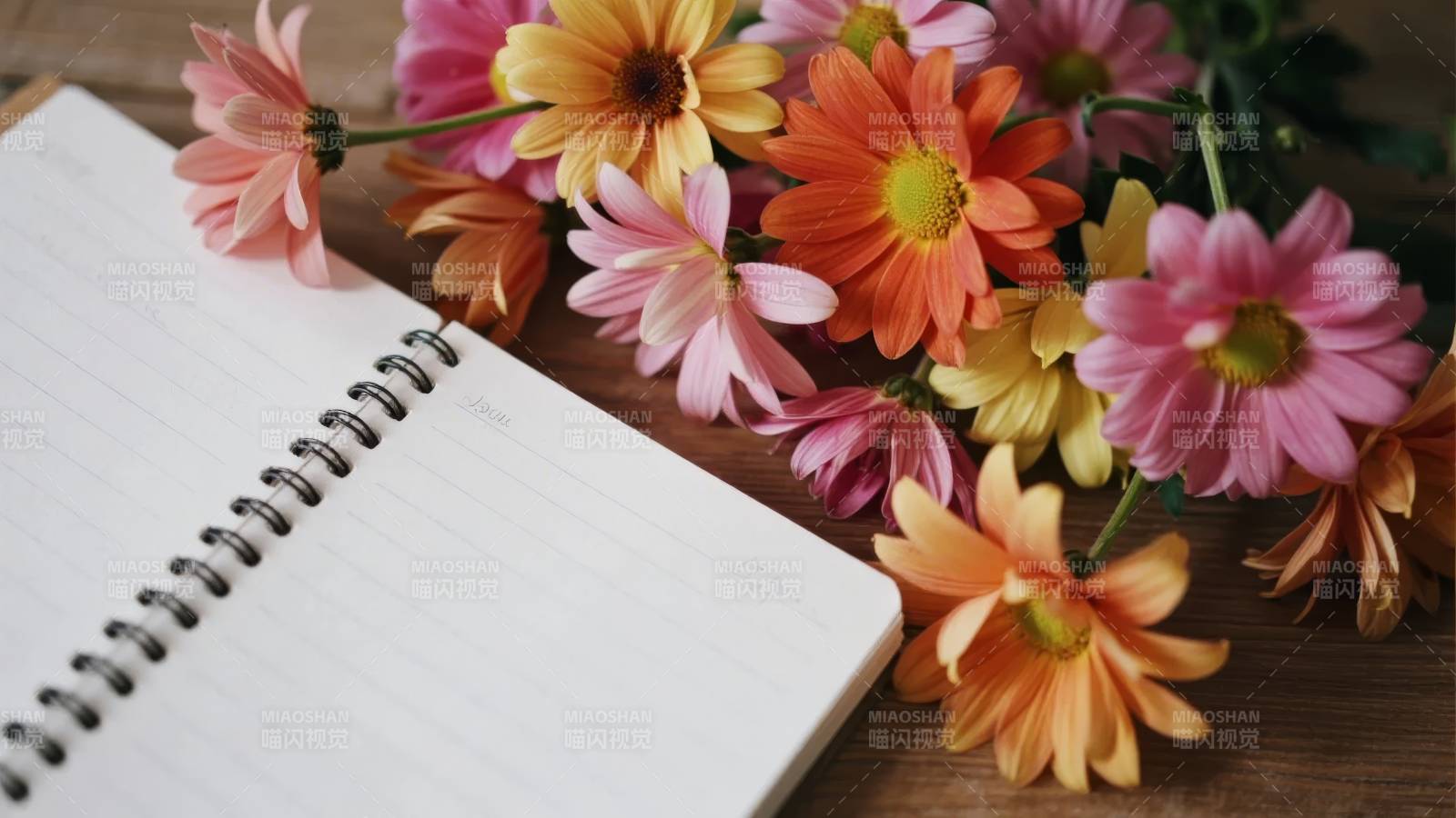花与笔记的静谧时光图片