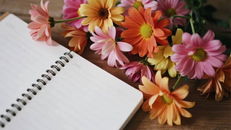 花与笔记的静谧时光图片