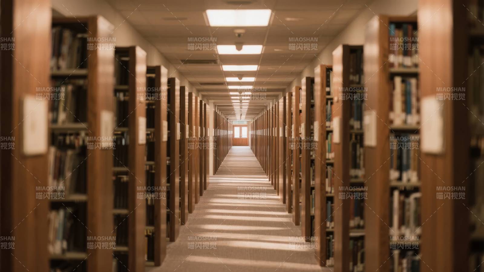 图书馆长廊静谧书香图片