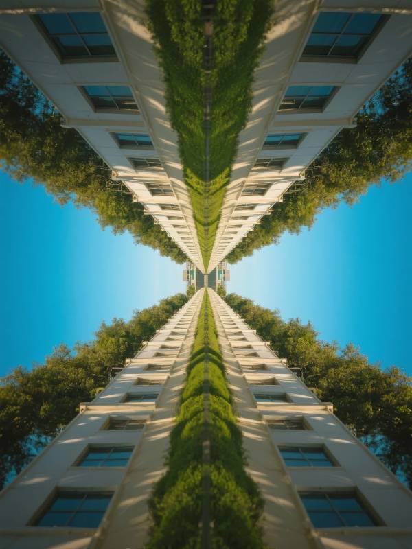 绿意盎然的建筑镜像图片