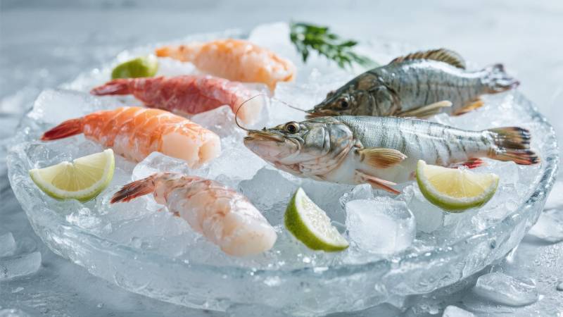 冰鲜海鲜拼盘图片