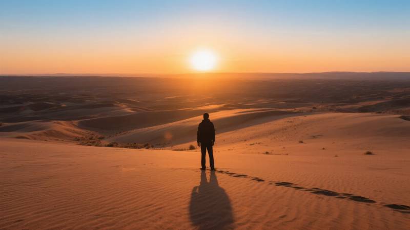 沙漠日落孤影图片