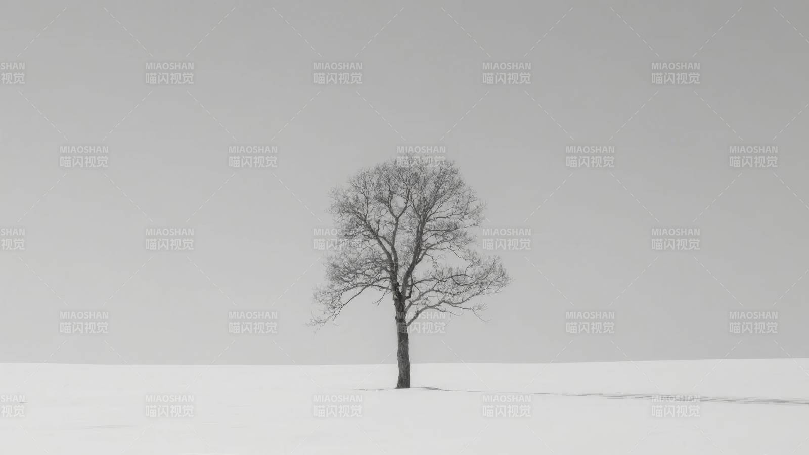 雪原孤树图片