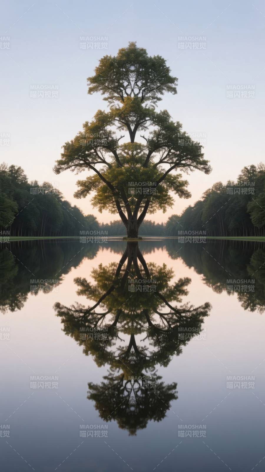 树影倒映湖中图片