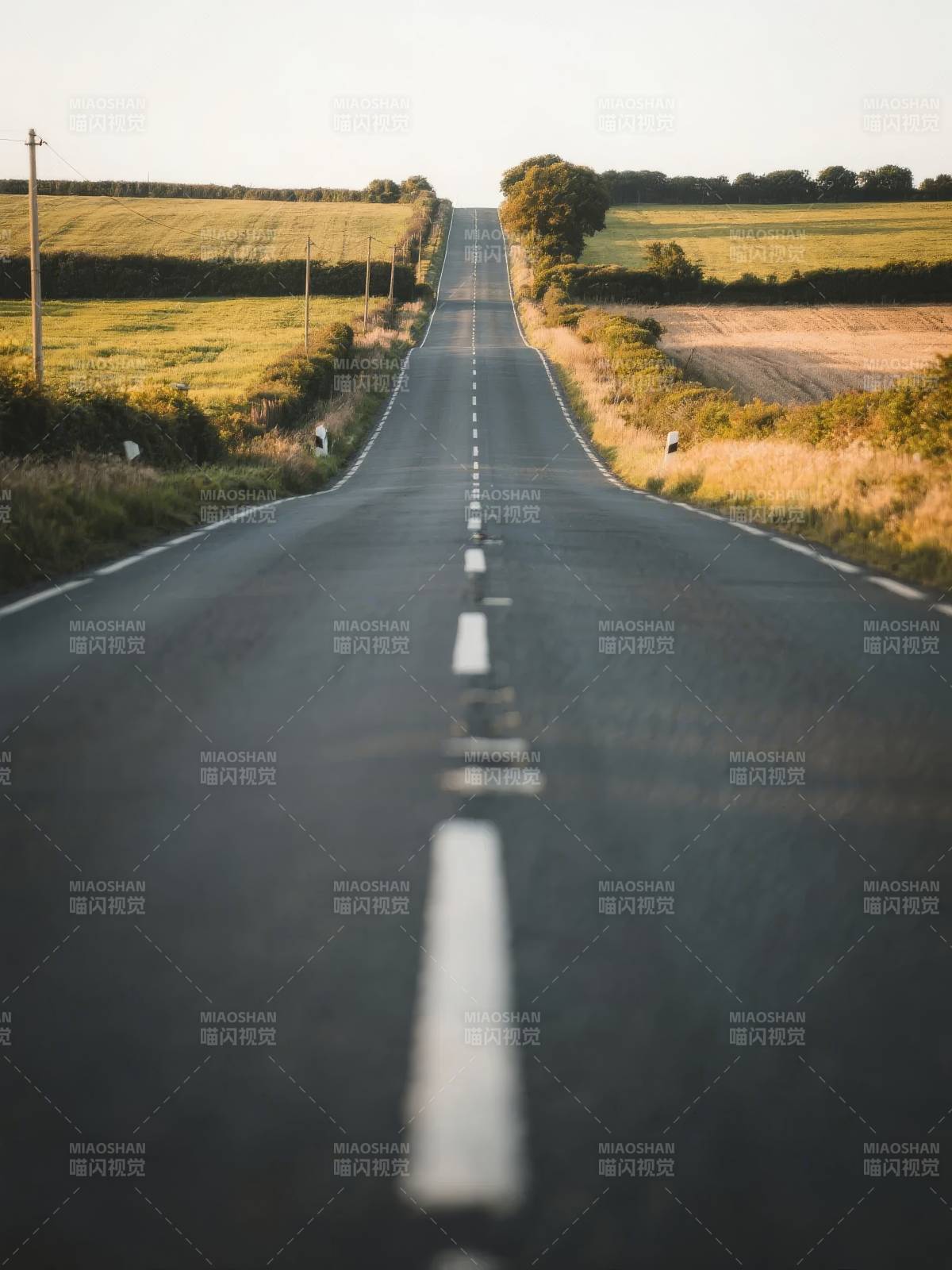 乡间公路尽头图片