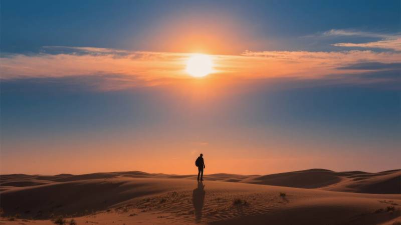 沙漠日落孤影图片