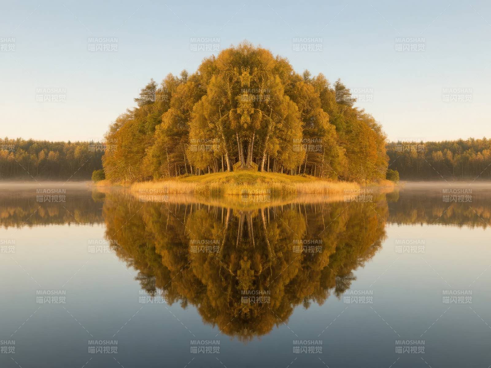 湖心秋林倒影图片