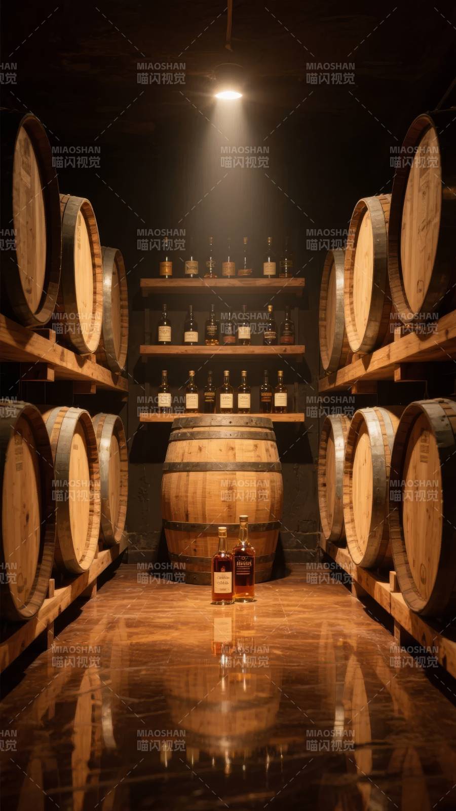 酒窖秘藏图片