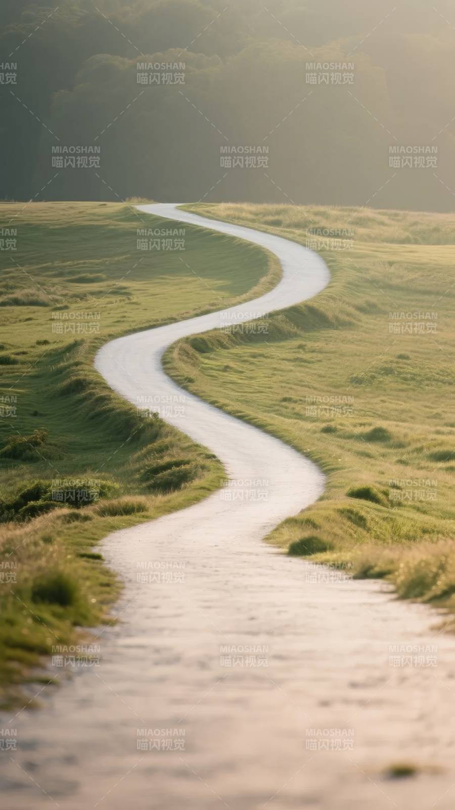 蜿蜒小径入林深图片