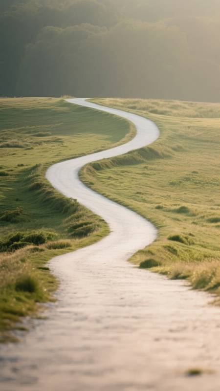 蜿蜒小径入林深图片