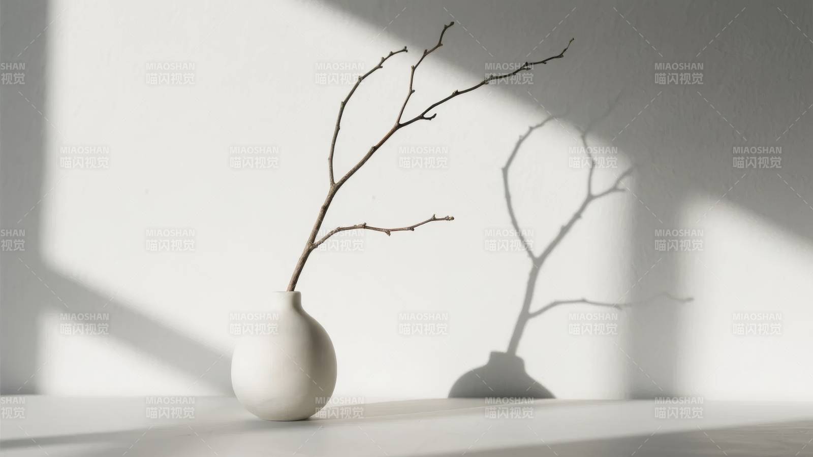 光影枝影静谧美图片