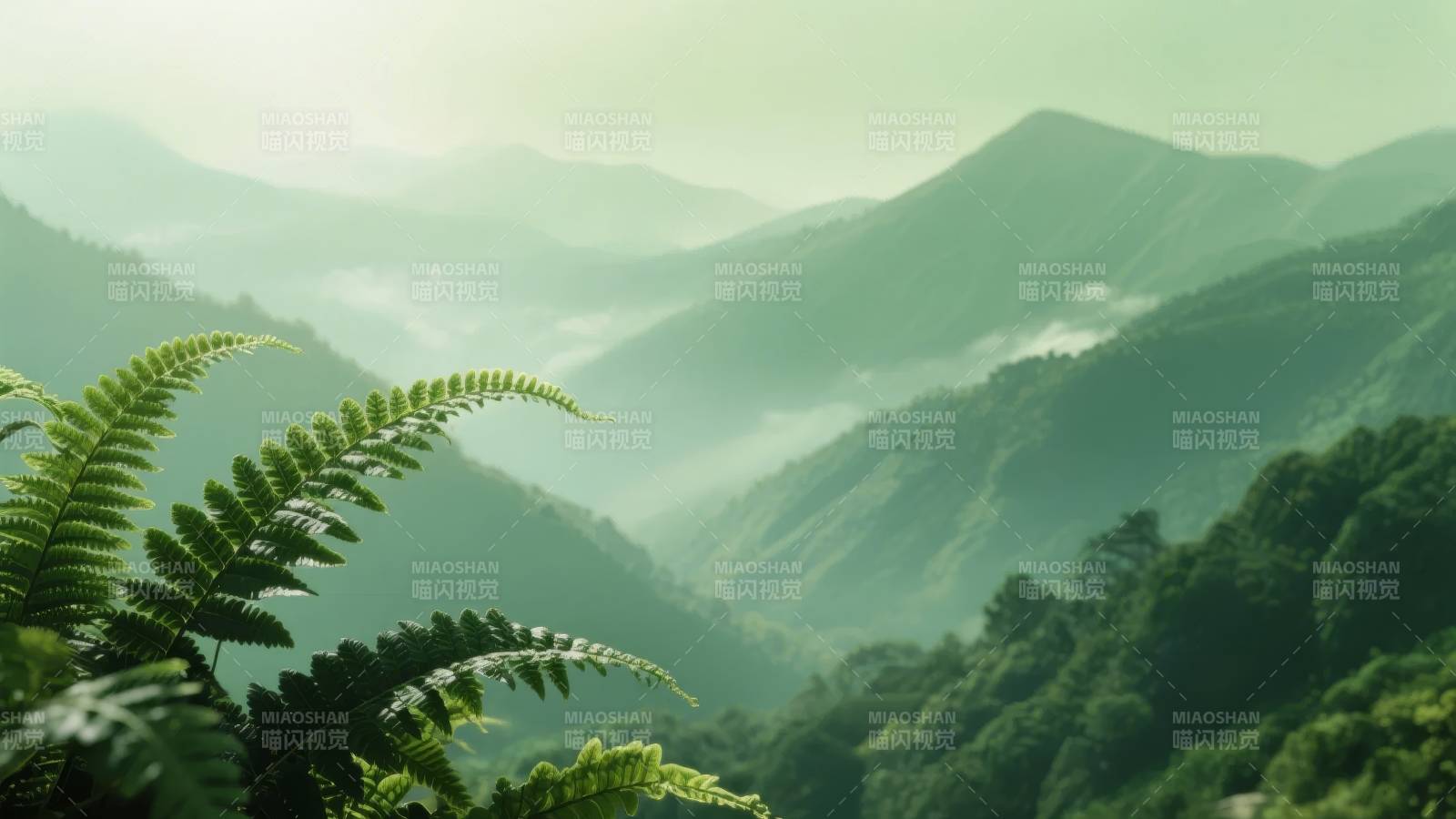 青山叠翠 雾绕林间图片