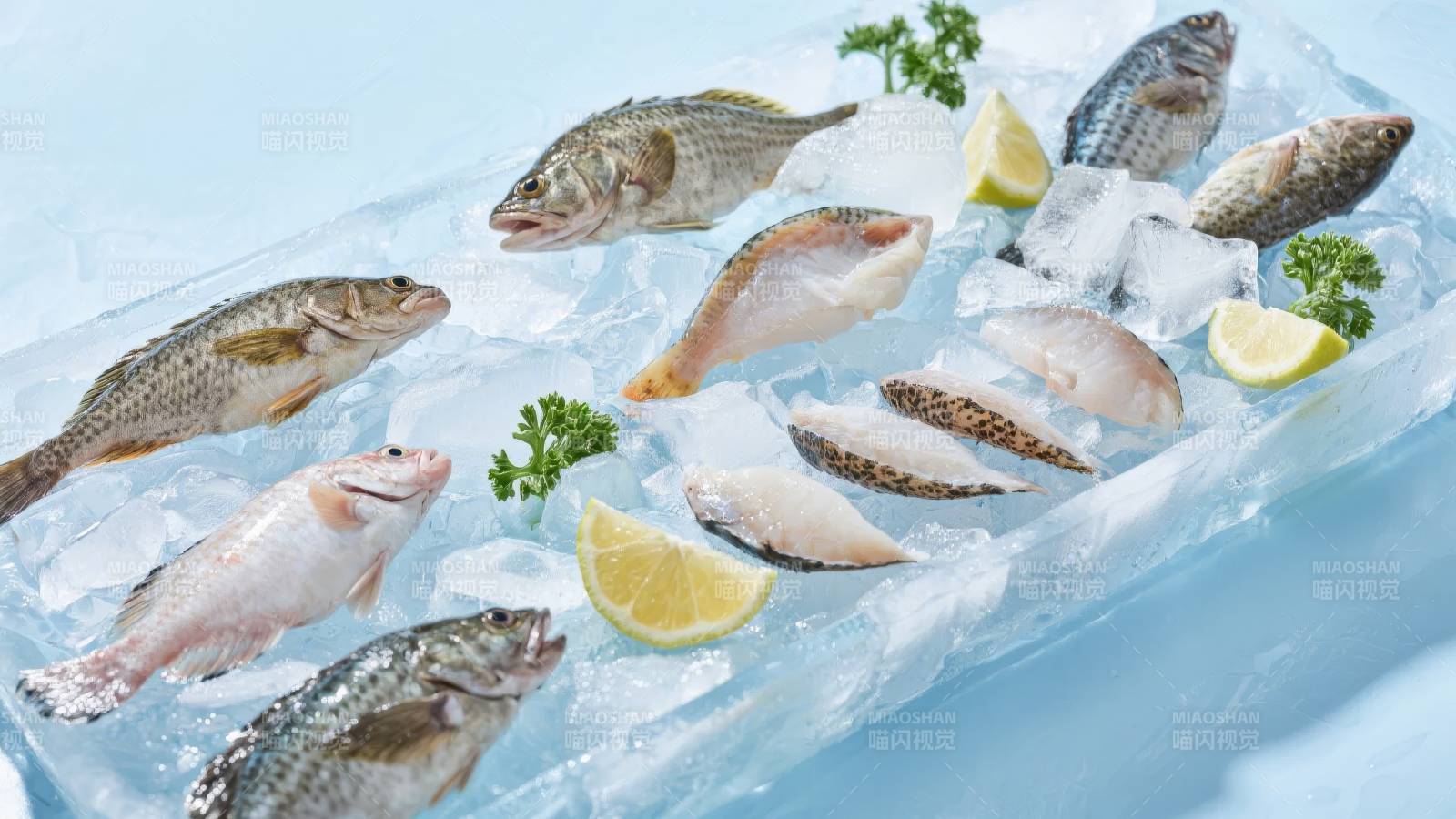 冰鲜鱼品展示图片