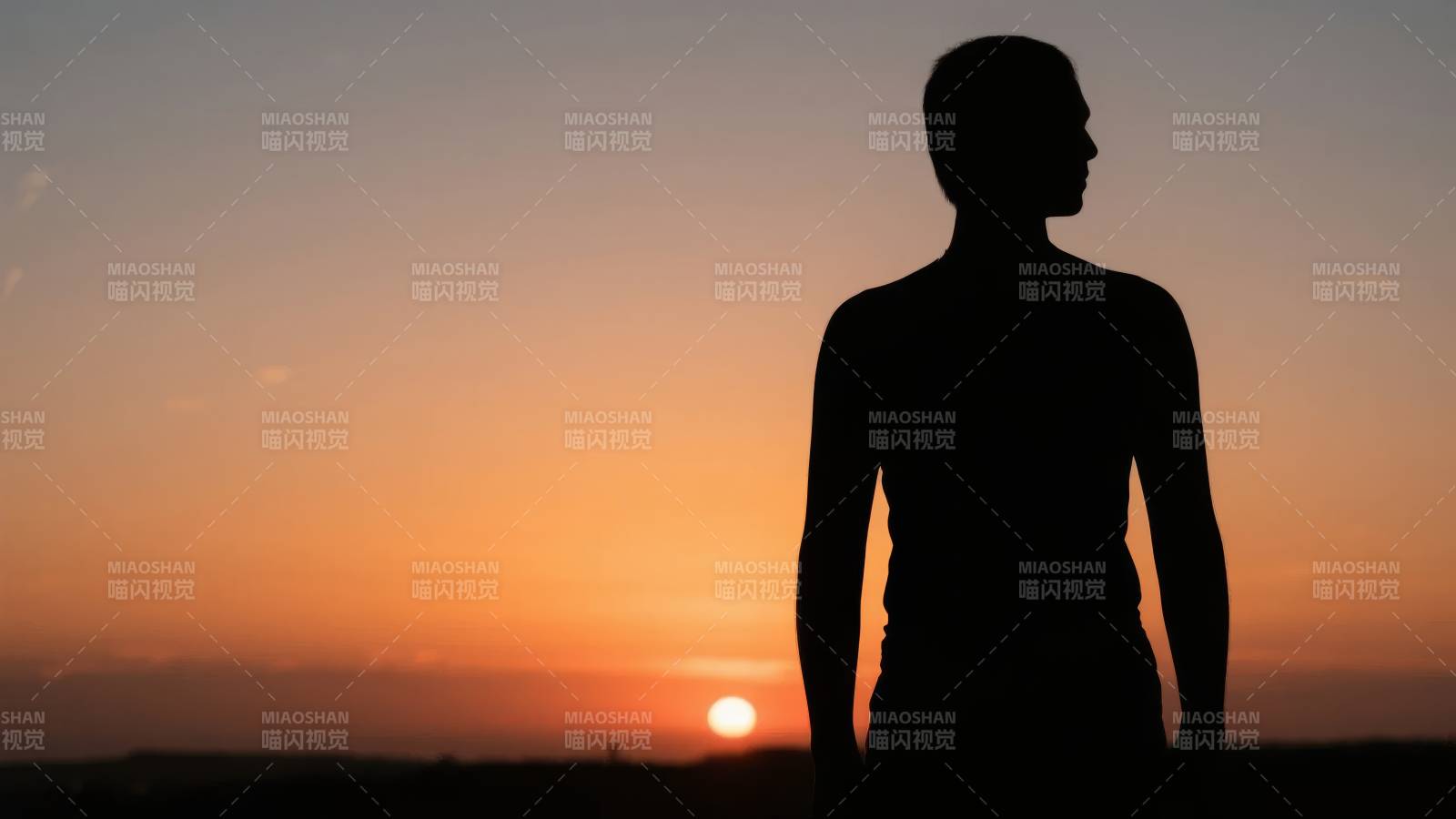 夕阳下的剪影图片