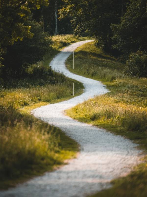 林间小径蜿蜒前行图片
