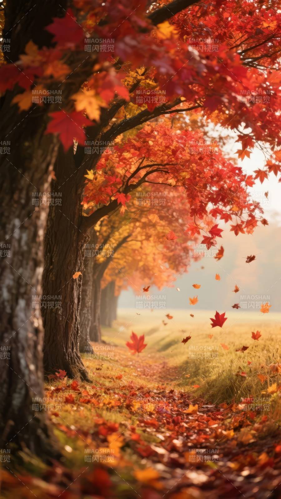 秋叶纷飞小径图片